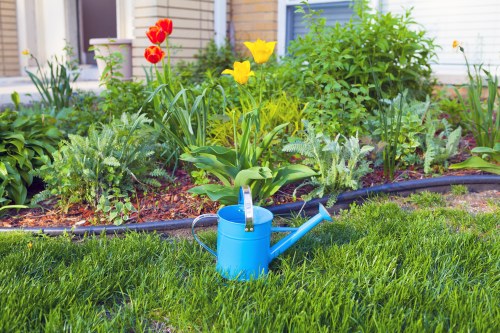 Healthy green lawn maintained by Gardening Services Millbank