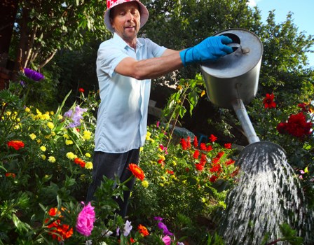 Installation of diverse plants in a residential garden