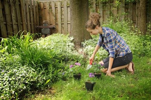 Increased property value through professional Millbank landscaping
