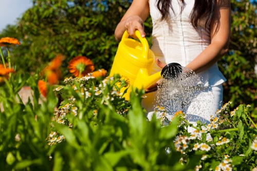 Gardener explaining a plan to a client with clear documents